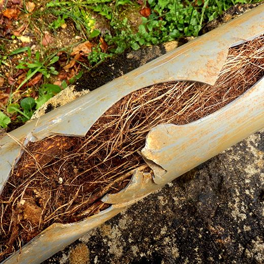 The Drain & Sewer Professionals In Evanston